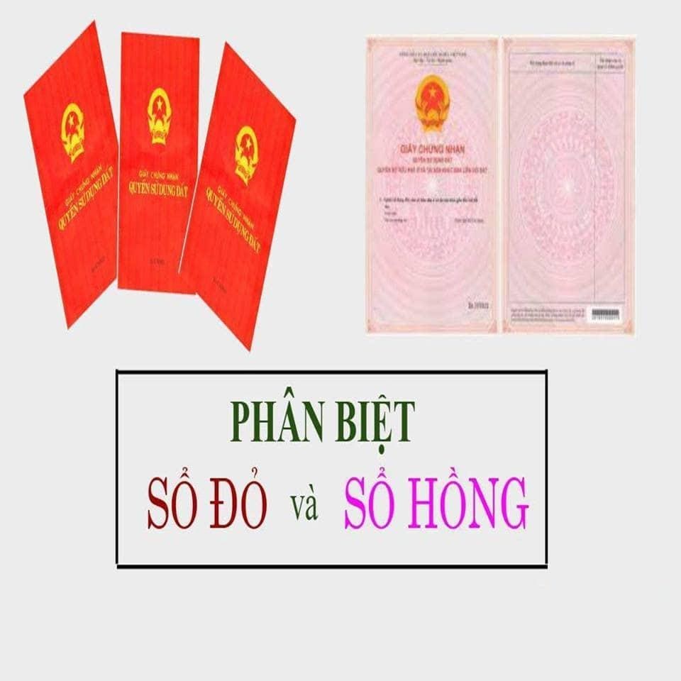 Huong-dan-phan-biet-so-hong-va-so-do-2