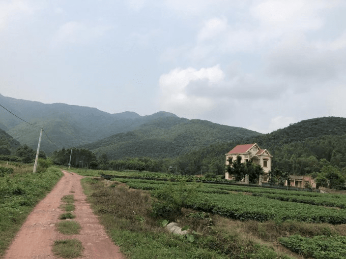 Mua bán đất rừng ở Chí Linh đang có xu hướng tăng